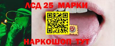дживик Можга