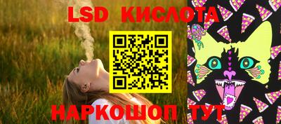 дживик Можга