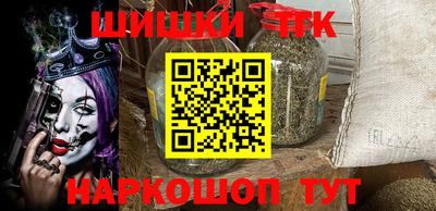 дживик Можга