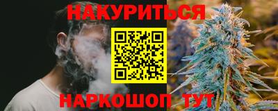 дживик Можга