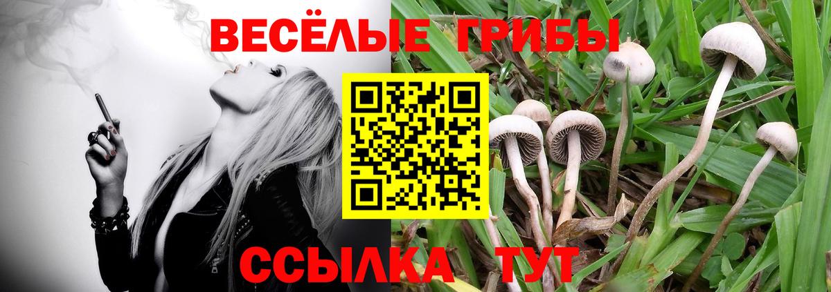 Галлюциногенные грибы Magic Shrooms  Вход с VPN  Псилоцибиновые грибы мухоморы  Елабуга 